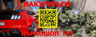 шишки Берёзовский