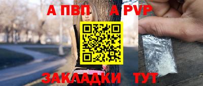 шишки Берёзовский