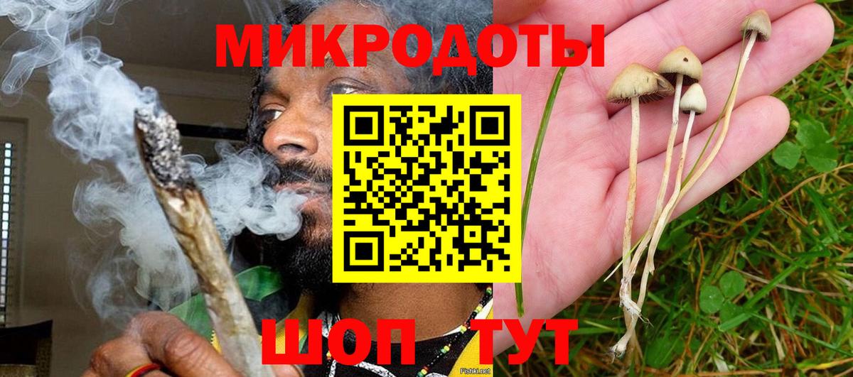 Псилоцибиновые грибы Psilocybe Кимовск