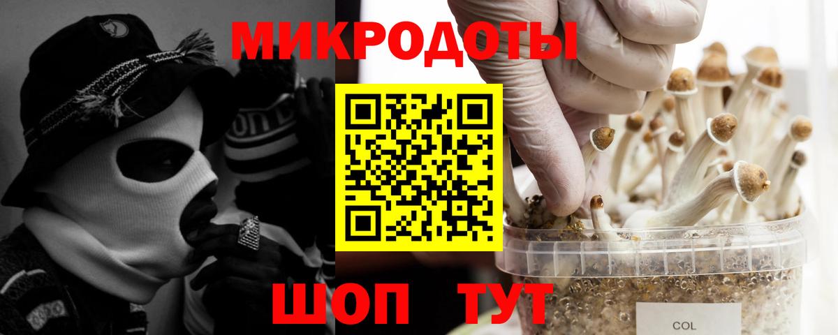 Кимовск  Галлюциногенные грибы Psilocybine cubensis  Вход с VPN 